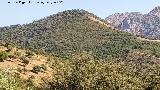 Cerro Madro�ero