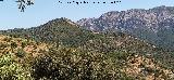 Cerro Madro�ero. Desde el Mirador Cerro del Plomo
