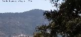 Cerro Mont�n de Trigo