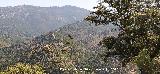 Cuerda del Lobo