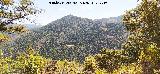 Loma del Barranco de Elises