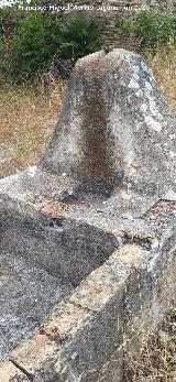 Pilar del Centenillo. 