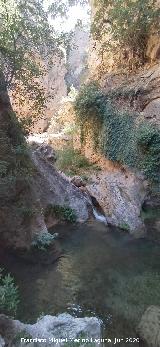 Arroyo de las Grajas. 