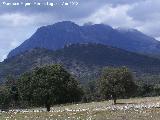 Cerro Matamulos. En primer trmino Matamulillos al fondo Cagasebo