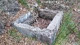 Fuente Milagrosa. 