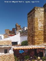 Muralla de Carmona. 
