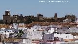 Alc�zar del Rey Don Pedro. Desde la Torre del Oro