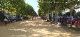 Alameda de Alfonso XIII. 