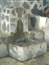 Fuente de las Caras. 