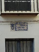 Calle Fern�n Caballero. Placa