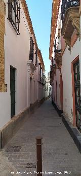 Calle Elio Antonio. 