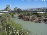 Puente Nuevo del Obispo. 