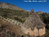 Choza del Albergue de las Cabritas