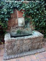 Fuente de la Iglesia. Fuente de la Iglesia