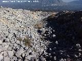 Los Caracoles. Cantera con piedra de molino y al fondo Bdmar