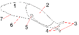 Babosa - Milax. 1) cola<br>
2) manto<br>
3) tentculos pticos<br>
4) tentculos sensoriales<br>
5) neumostoma<br>
6) pi<br>
7) quilla<br>