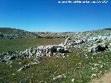 Campo del Espino. En el Cortijo de Cotillas