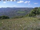 Cerro del Camello. Vistas