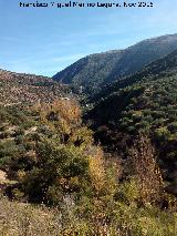 Ro Vboras. Barranco a la altura del Cortijo Bravos Bajos en Fuensanta de Martos