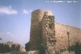 Muralla de Jan. Lienzo desaparecido Carretera de Crdoba. Grosor