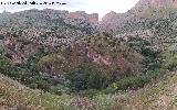 Cerro Toledo