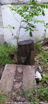 Molino Matasuegros. Mesa