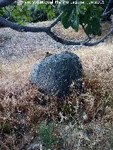 Casera de la Venta. Piedra de molino