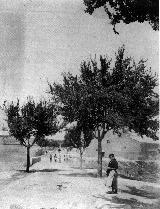 Estacin de Torredelcampo. Foto antigua