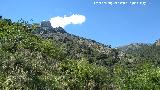 Cerro Pea Blanca. Desde el Barranco de la Tinaja