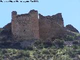 Castillo de Tabernas. 