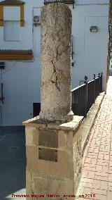 Columna Romana. 