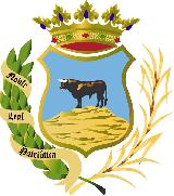 Montoro. Escudo