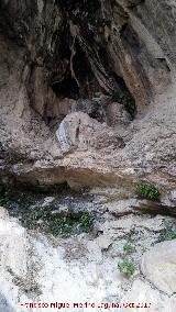 Can del Ro Bailn. Abrigo alto del margen izquierdo antes de la Cueva del Fraile