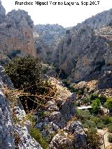 Can del Ro Bailn. Desde el Mirador de la Villa