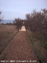 Parque Nacional de Las Tablas de Daimiel. 