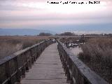 Parque Nacional de Las Tablas de Daimiel. 