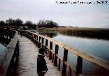 Parque Nacional de Las Tablas de Daimiel. 