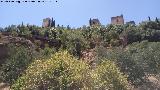 Alhambra. Alcazaba. Desde el Darro