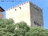 Alhambra. Torre de Comares. Desde el Molino del Rey Chico