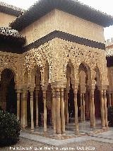 Alhambra. Patio de los Leones. 