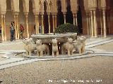 Alhambra. Fuente de los Leones. 