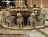 Alhambra. Fuente de los Leones. 