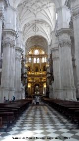 Nave Central