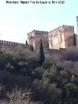 Alhambra. Torre de Mohamed. 