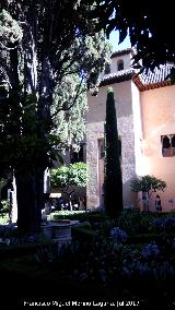Alhambra. Patio de Lindaraja. 