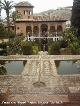 Alhambra. Jardines del Partal. El Pardal desde el Pabelln