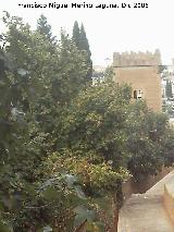 Alhambra. Torre de los Picos. 