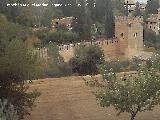 Alhambra. Torre de los Picos. 