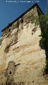 Alhambra. Puerta de Hierro. Torre