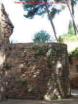 Alhambra. Torre del Cabo. 